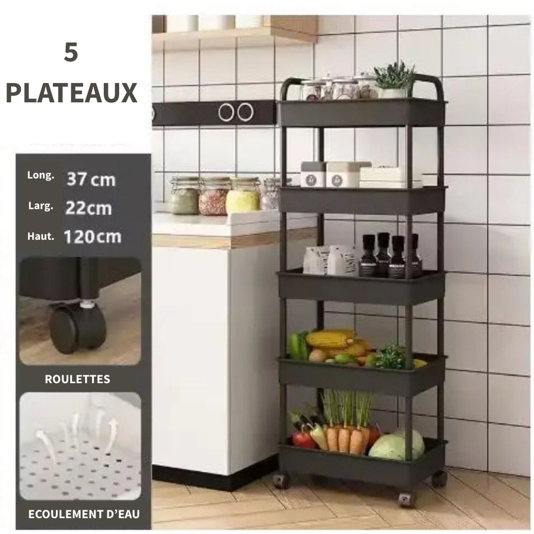Etagère avec Roulettes Multifonction